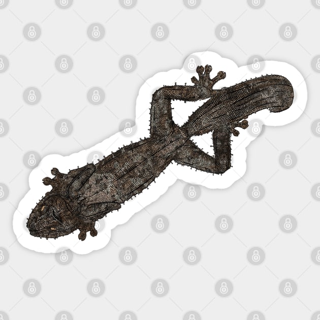 Uroplatus Fimbriatus Sticker by GothamGeckos